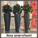 web entree ikea afoort
